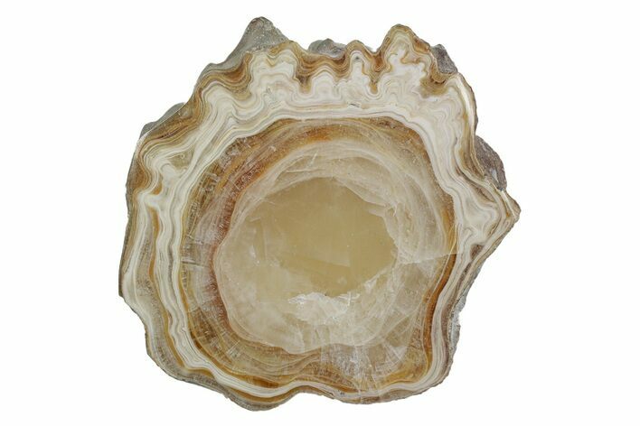 Polished Aragonite Stalactite Slice - Morocco #255302